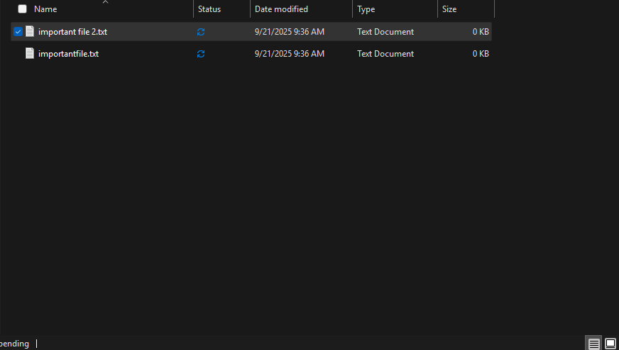 Screenshot 2025-09-21 093748.png