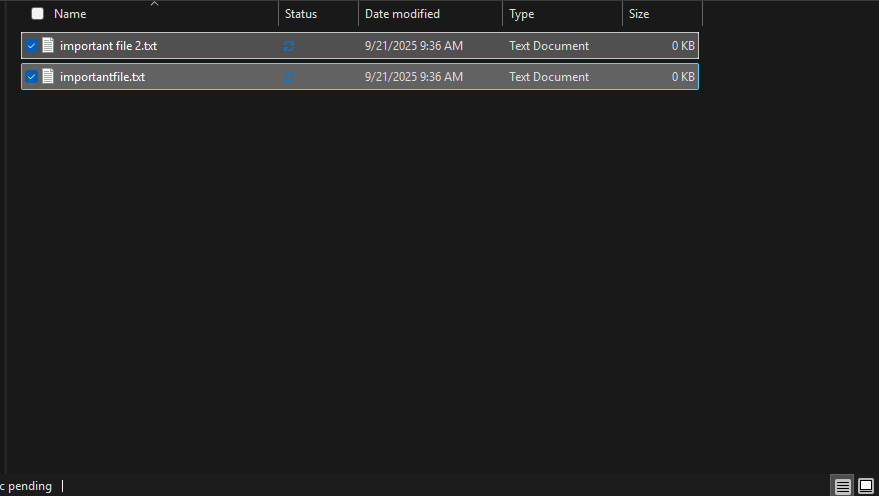 Screenshot 2025-09-21 093833.png