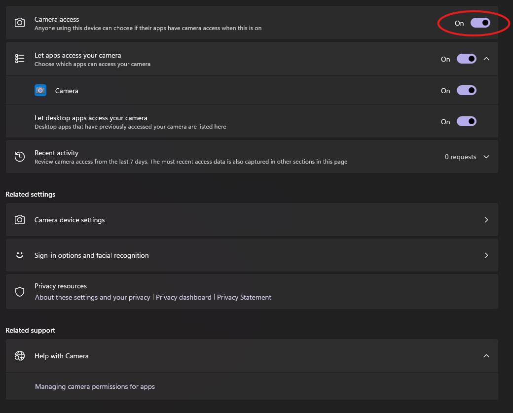 Screenshot showing toggle options for Camera
