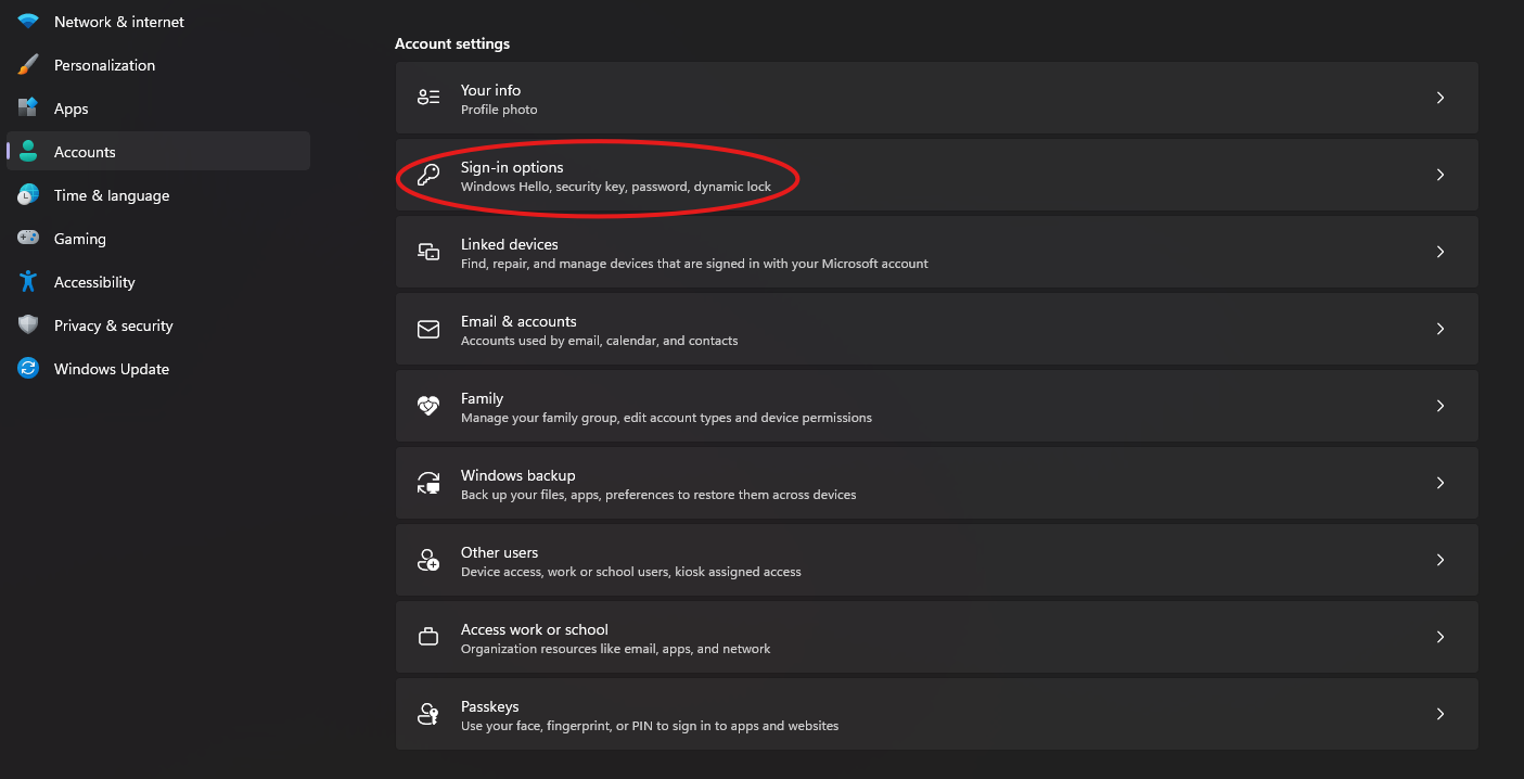 Screenshot showing Sign-in options